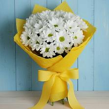 Букет цветов из:  Хризантемы в Прасковее