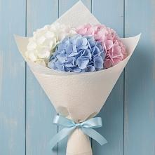 Букет цветов из:  Гортензия в Прасковее