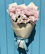 Букет цветов из:  Хризантемы #REPLACE_PRED# Прасковее