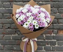 Букет цветов из:  Хризантемы #REPLACE_PRED# Прасковее