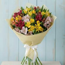 Букет цветов из:  Альстромерии в Прасковее