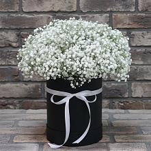 Цветочная композиция из Гипсофила в шляпной коробке в Прасковее