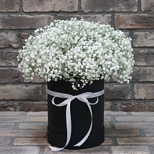 Цветочная композиция из Гипсофила в шляпной коробке в Прасковее