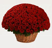 Премиум букет из: Розы в Прасковее