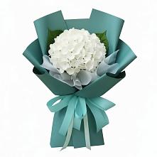 Букет цветов из:  Гортензия #REPLACE_PRED# Прасковее